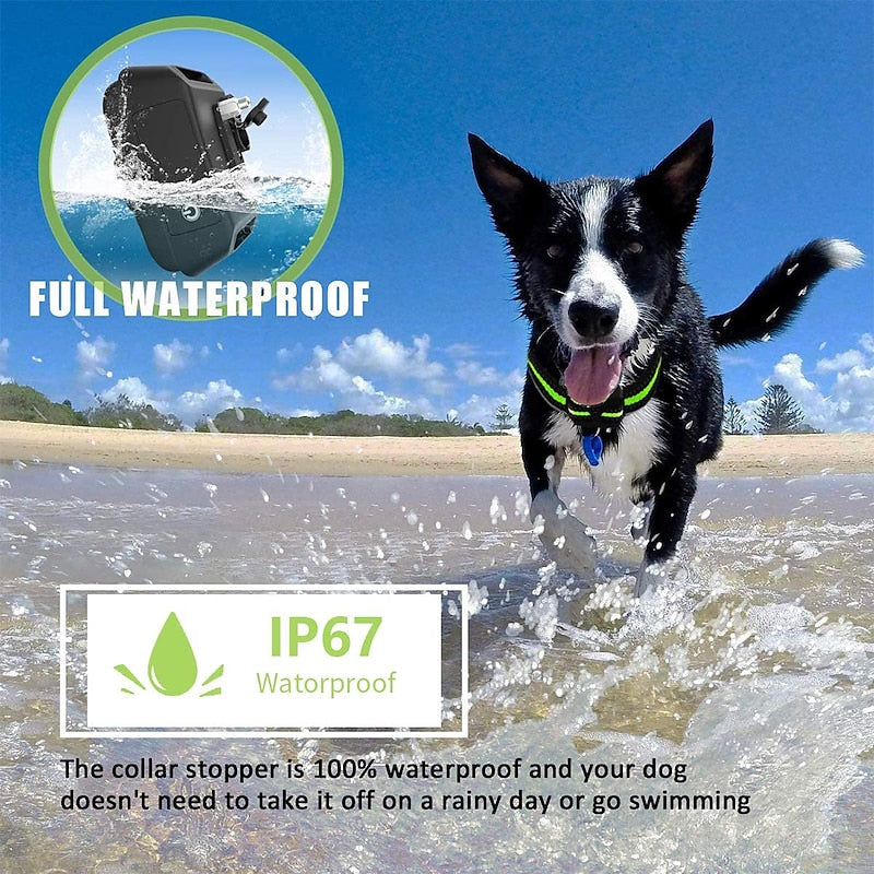 Anti-Bark Collar for Dogs|Rechargeable Anti-Bark Shock Collar (New 2025)