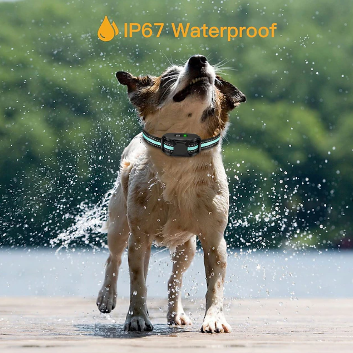 3300Ft Remote No Shock Pet Dog Training Collar Rechargeable IPX7 Waterproof E Collar Beep Vibration Human Dog Trainer