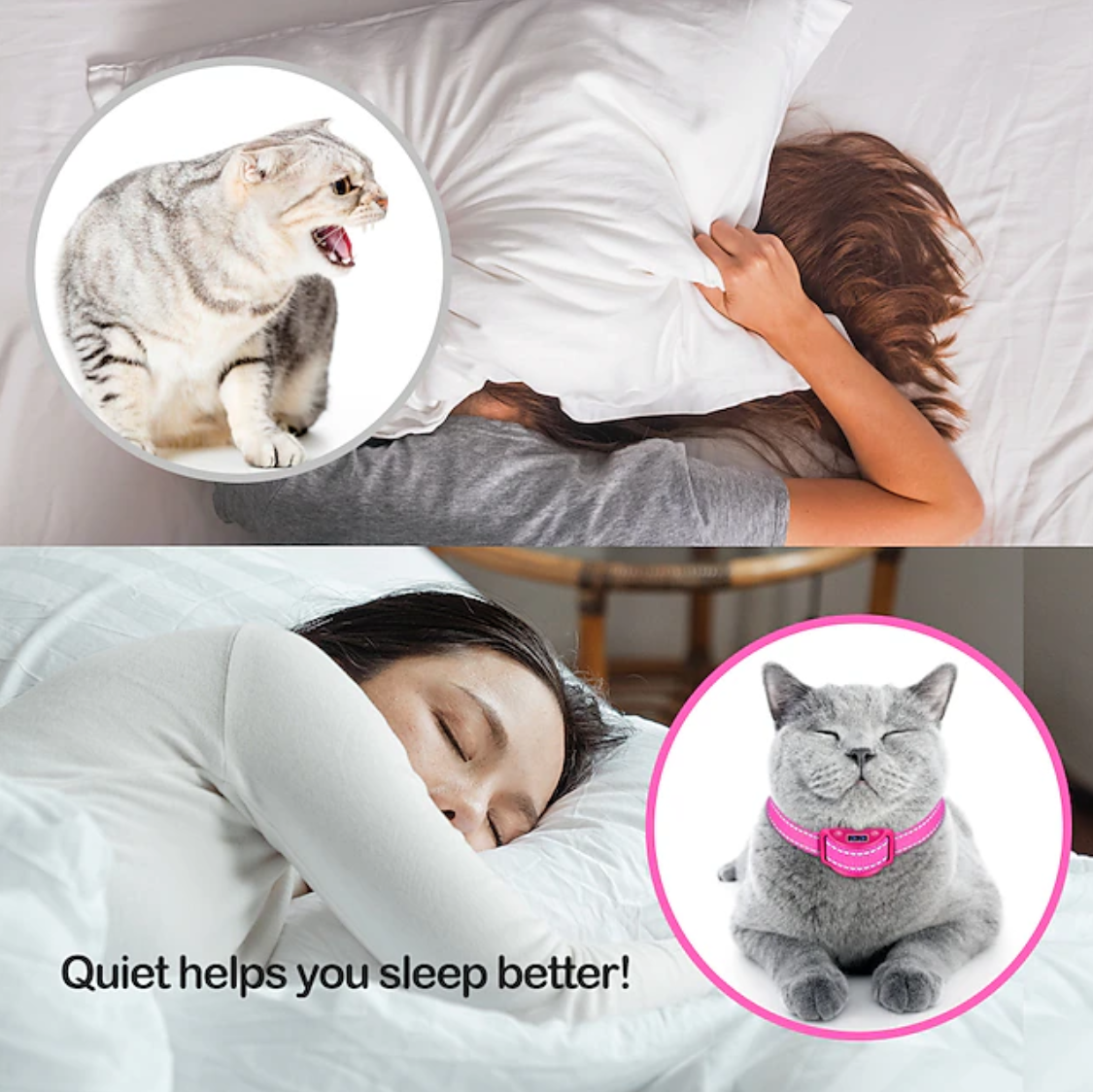 Pink Cat Stop Barkfor Cats Prevent Meowing 5 Levels of Progressive Training